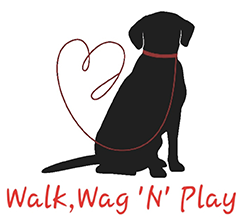 Walk, Wag 'N' Play